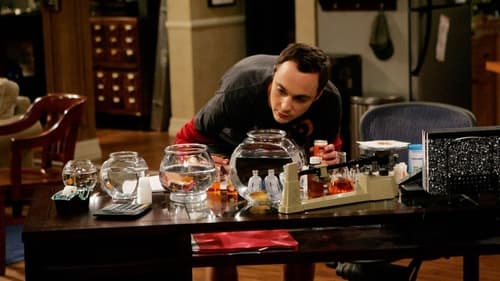 movies/2024-09-05/the-big-bang-theory-kKS7oikWCivvrOarkUpH4q1vv2T.jpg