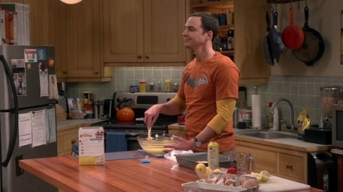 movies/2024-09-05/the-big-bang-theory-mU0dTutZRJbIIri3MuleOJMQl09.jpg