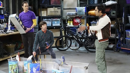 movies/2024-09-05/the-big-bang-theory-mtvPox0z02GCjha0gAtW0sGOla9.jpg