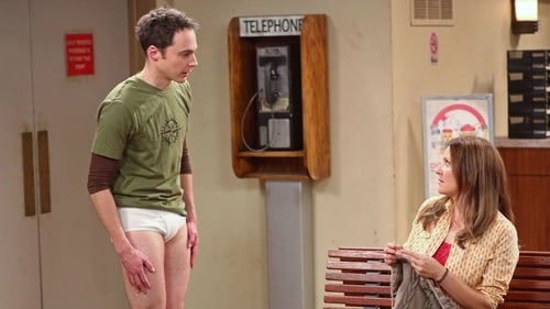 movies/2024-09-05/the-big-bang-theory-oL0MAmtqvE9NdjDpyX1swDuBVWa.jpg