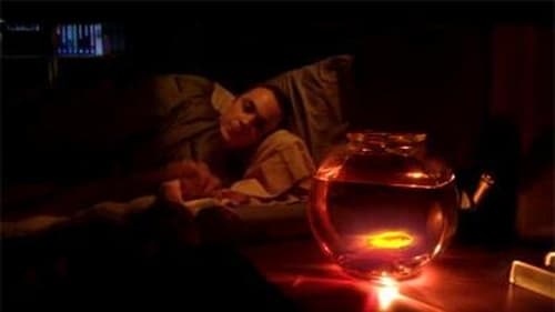 movies/2024-09-05/the-big-bang-theory-puc43YAhonWOWLB7dJOYgpSe3QJ.jpg