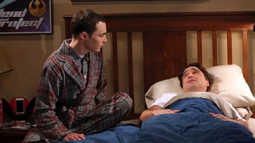movies/2024-09-05/the-big-bang-theory-qEclE3N664bYFYOtoitFqZhKoN3.jpg