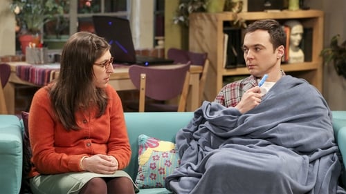 movies/2024-09-05/the-big-bang-theory-rJJ7LLPDRHUQYVaeaxXSrdmWt34.jpg
