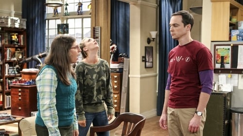 movies/2024-09-05/the-big-bang-theory-sXpnjSU96ED3yYVrm9BqYhgf4eG.jpg