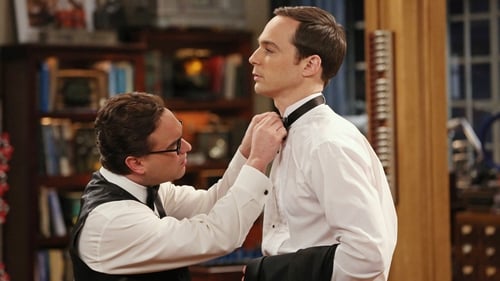 movies/2024-09-05/the-big-bang-theory-srRmfbYJKSe9SgVJTSwzjwc1jQv.jpg
