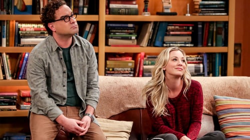 movies/2024-09-05/the-big-bang-theory-uXk8oplxCvrXnMDillhjPdjAz1c.jpg