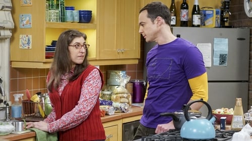 movies/2024-09-05/the-big-bang-theory-ui9iExaJ8U4PB1CONVZOneCvQtq.jpg