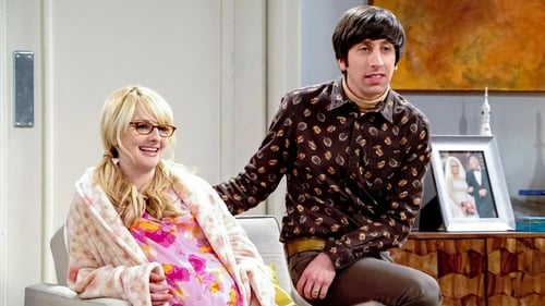 movies/2024-09-05/the-big-bang-theory-y8cPPUKibxpbGlo9feqkWHae4Gk.jpg