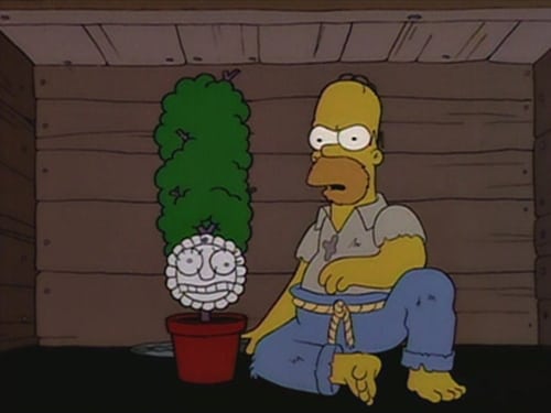 movies/2024-09-05/the-simpsons-1xhuHdnj1BnO1ZN7w85ZnvhpmhH.jpg