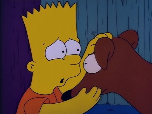movies/2024-09-05/the-simpsons-6c5kJASxE1KnMddXYO61UdVKtNa.jpg