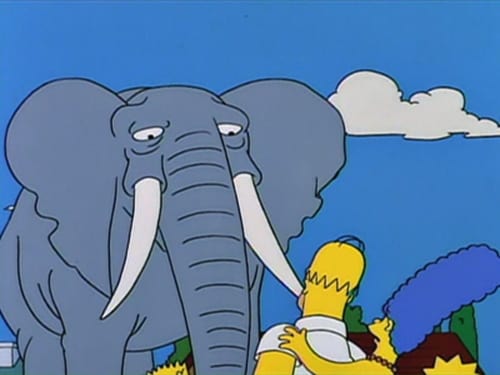 movies/2024-09-05/the-simpsons-7bXPNldsxLIFRPabGoRTkqqngCu.jpg