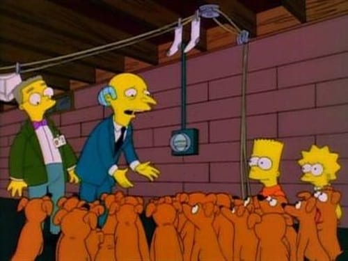 movies/2024-09-05/the-simpsons-fO59TWwbA2KUnsMAJPNMvuHPypT.jpg