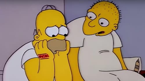 movies/2024-09-05/the-simpsons-jQ6CWtYt9S6z4K9CNQtlmMiVC66.jpg