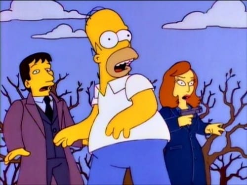 movies/2024-09-05/the-simpsons-zEtEhGqYH4Z41owDzTCb0Y2k8EV.jpg