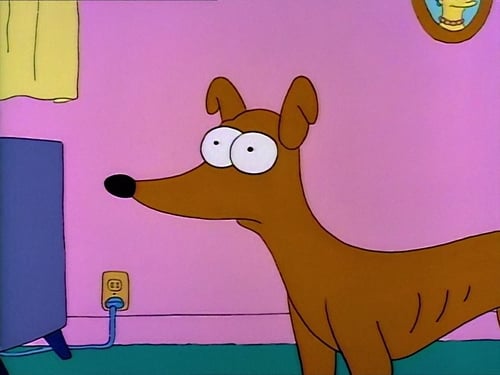 movies/2024-09-05/the-simpsons-zIgdlXG6vRbgEpEDoFqtdrqH5t9.jpg