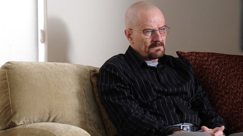 movies/2024-09-06/breaking-bad-Ac0wu93r4LaZk07wa7PiWpNOOru.jpg