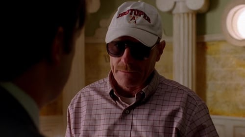 movies/2024-09-06/breaking-bad-itKNfQ3Nm6Qkjdp0hew5jvqbB8p.jpg