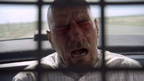movies/2024-09-06/breaking-bad-mt9HtDly0I4vmxs5INljWt311IL.jpg