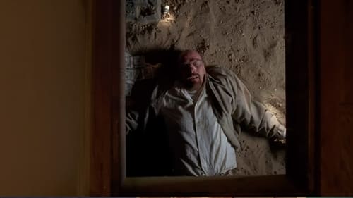 movies/2024-09-06/breaking-bad-mySdUn0ab1rrWUuoribRZilCqAF.jpg
