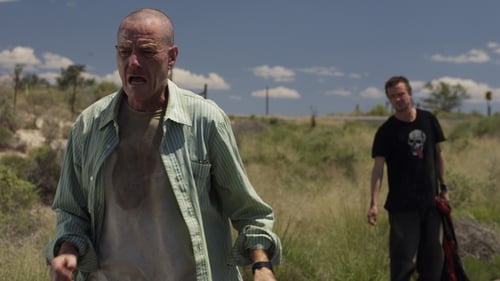movies/2024-09-06/breaking-bad-p69fPkpnnxUmevhupJiDeYfQxxl.jpg