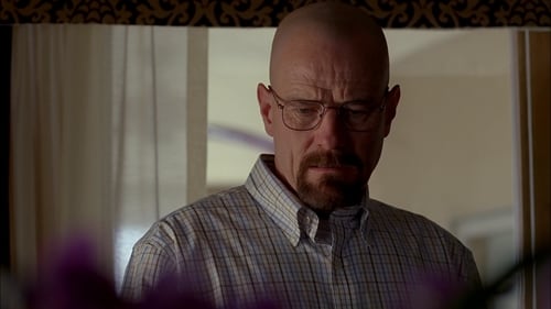 movies/2024-09-06/breaking-bad-qvwD4XVrL1nQO1CjWAFEuF6Dv8V.jpg