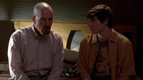 movies/2024-09-06/breaking-bad-rJMvHvidpQQqKGjOw4tIUGk8yKk.jpg