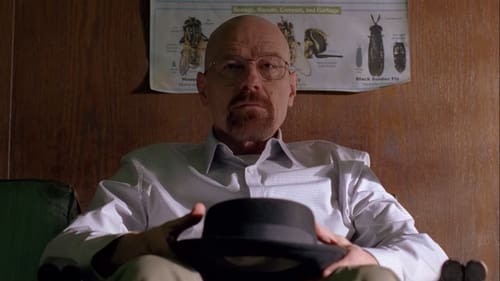 movies/2024-09-06/breaking-bad-t8sMmNl1vT59s0lJjt5GtBWjKet.jpg