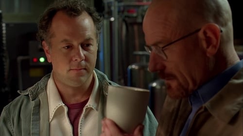 movies/2024-09-06/breaking-bad-tBTnEEoCVU5apzcplilp6FAbfmn.jpg