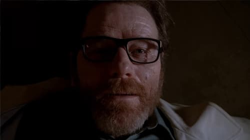 movies/2024-09-06/breaking-bad-xzTBtSOAvG6apiUSee31A3tW1px.jpg