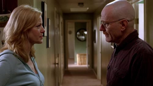 movies/2024-09-06/breaking-bad-ylIwEtizukKI3UyqjgpTOmyUJbO.jpg