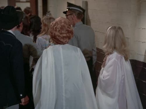 movies/2024-09-06/columbo-ejnKvL5j7Q8rlcOArAJzmzW5S6b.jpg