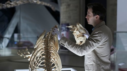 movies/2024-09-06/hannibal-4PtflzGxzWXT6lLk3FONdf4MRJU.jpg