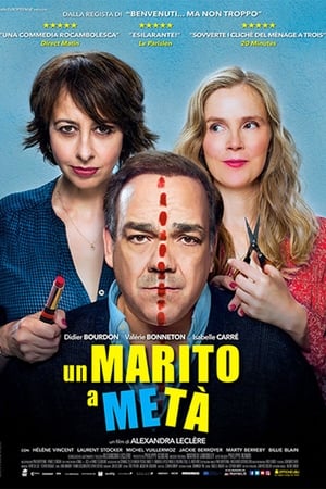 Un marito a metà - Joint Custody (2017)