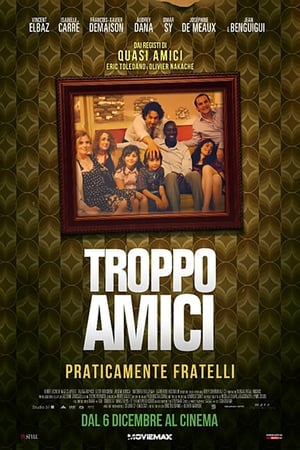 Troppo amici - So Happy Together (2009)