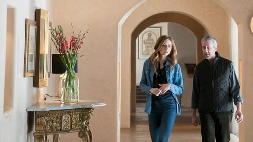 movies/2024-09-06/succession-tL10WLdcA5io2L6Jkx34DGvx4BT.jpg