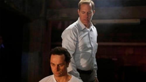 movies/2024-09-06/the-americans-31f3wpxglOCFiwMoIZwrb9dFh6S.jpg