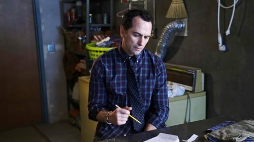 movies/2024-09-06/the-americans-eYTp9rmFPkWkF6JeNDpbzSNK7Qx.jpg