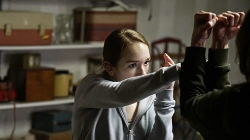 movies/2024-09-06/the-americans-khGb9rdvRZkmSIEZMTOFHWgiKKW.jpg