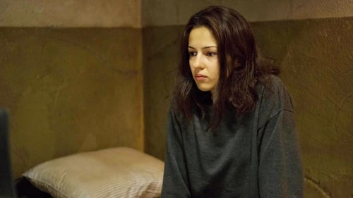 movies/2024-09-06/the-americans-qDhUHBDRD7abTFblwvLjt4YPTwZ.jpg
