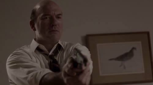 movies/2024-09-06/the-americans-y0FeiTx4MEMC5Oinxn9KqjQSnWD.jpg