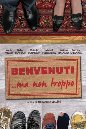 Benvenuti... ma non troppo - The Roommates Party (2015)