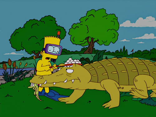 movies/2024-09-06/the-simpsons-5guIsxIQnXAnnWKzwF920ai2JCf.jpg