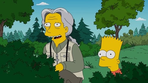 movies/2024-09-06/the-simpsons-iBpcge7MDQHVzuExcrranOrDF9K.jpg