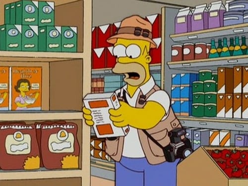 movies/2024-09-06/the-simpsons-lGqPeQ05hdFUJqix4R7nhZYyIms.jpg