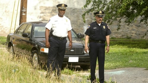 movies/2024-09-06/the-wire-gFstpIZ6b4pLF0SLcYuqnHgZkbv.jpg