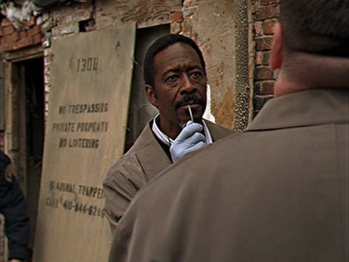 movies/2024-09-06/the-wire-hM6i9CgmWdHbV63td0hNArgYdso.jpg