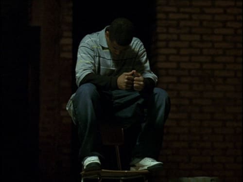 movies/2024-09-06/the-wire-mZ6sWpPXkSuqtkmtMGMSbjiGf1.jpg