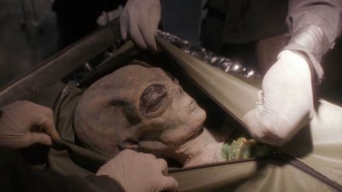 movies/2024-09-06/the-x-files-18jCaHflHnOWPDZQS5Fe4RCgYkf.jpg