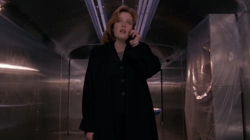 movies/2024-09-06/the-x-files-1Kt1aKI7Yz35OEFhorhD68Ncu1P.jpg