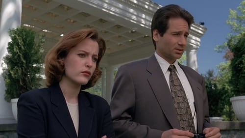 movies/2024-09-06/the-x-files-1VICOdjTGgvv4RFnoO8UPCdFsLb.jpg